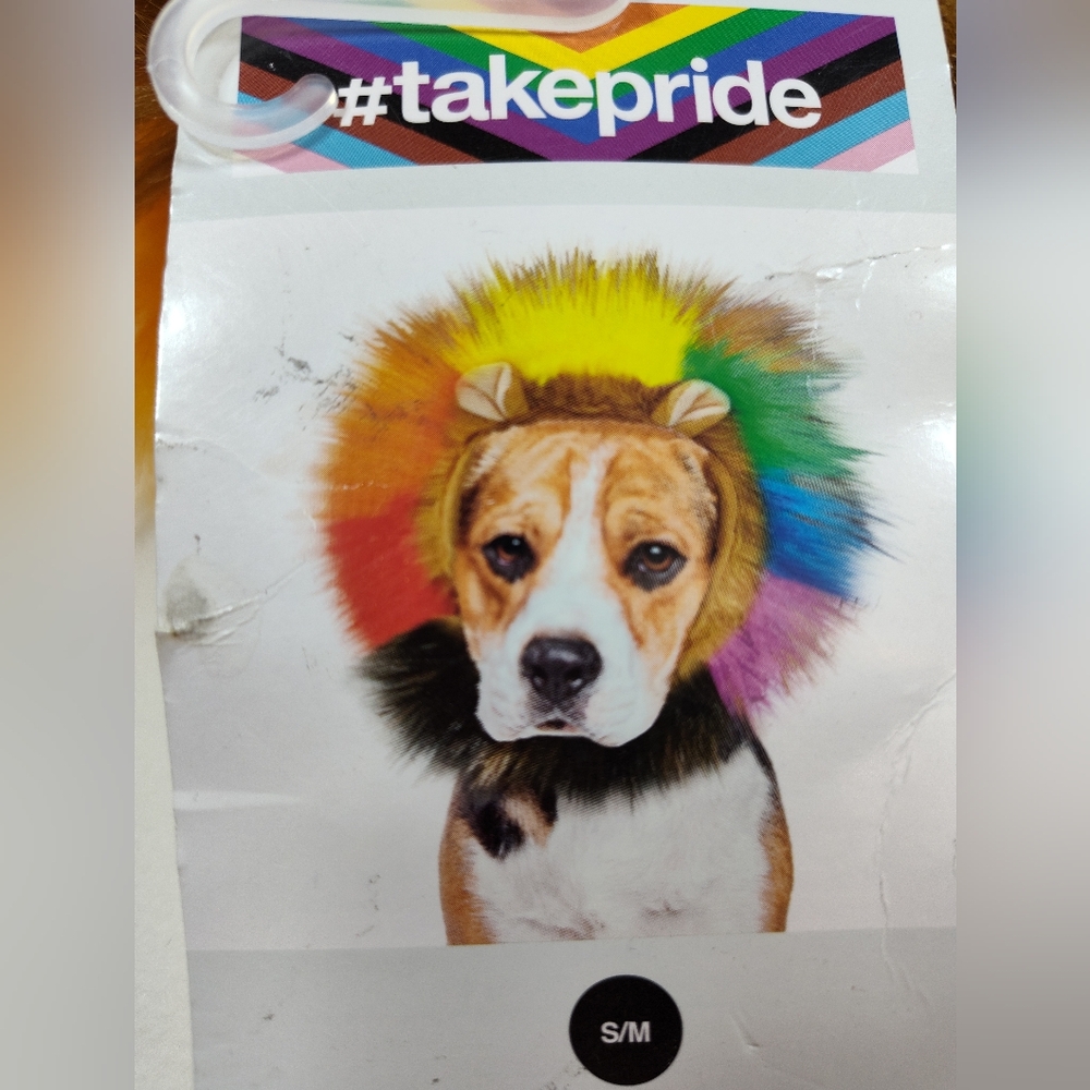Pride Month Dog Costume. Lion mane wig for dog. Pride colors wig dog costume.